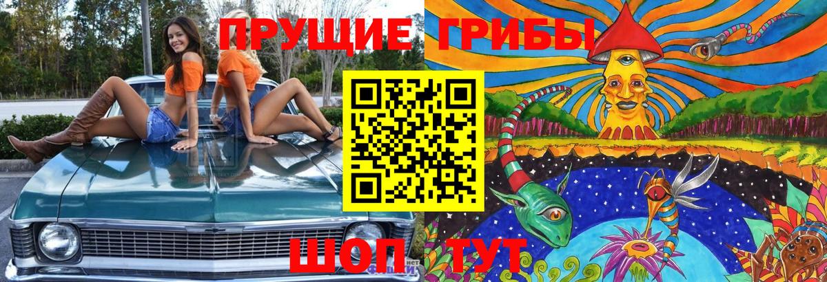 Псилоцибиновые грибы мицелий Дивногорск