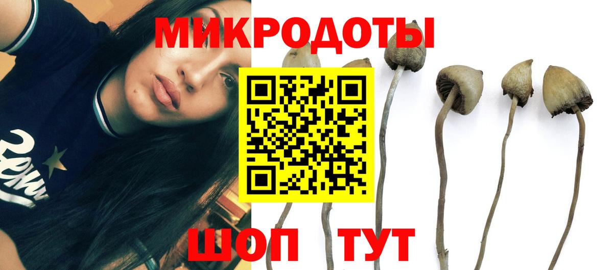 Дивногорск  Галлюциногенные грибы MAGIC MUSHROOMS  Вход с VPN 